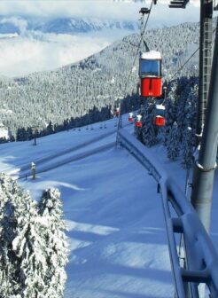 WhiteOwl-Transport-cable-montagne_1600x1050