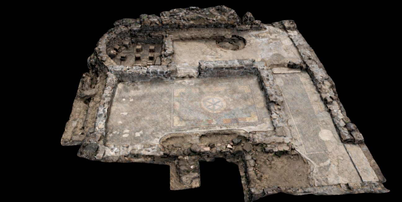 white_owl_exploitation_3D_ultraHD_3