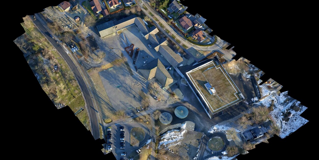 white_owl_photogrammetrie_ultraHD_4