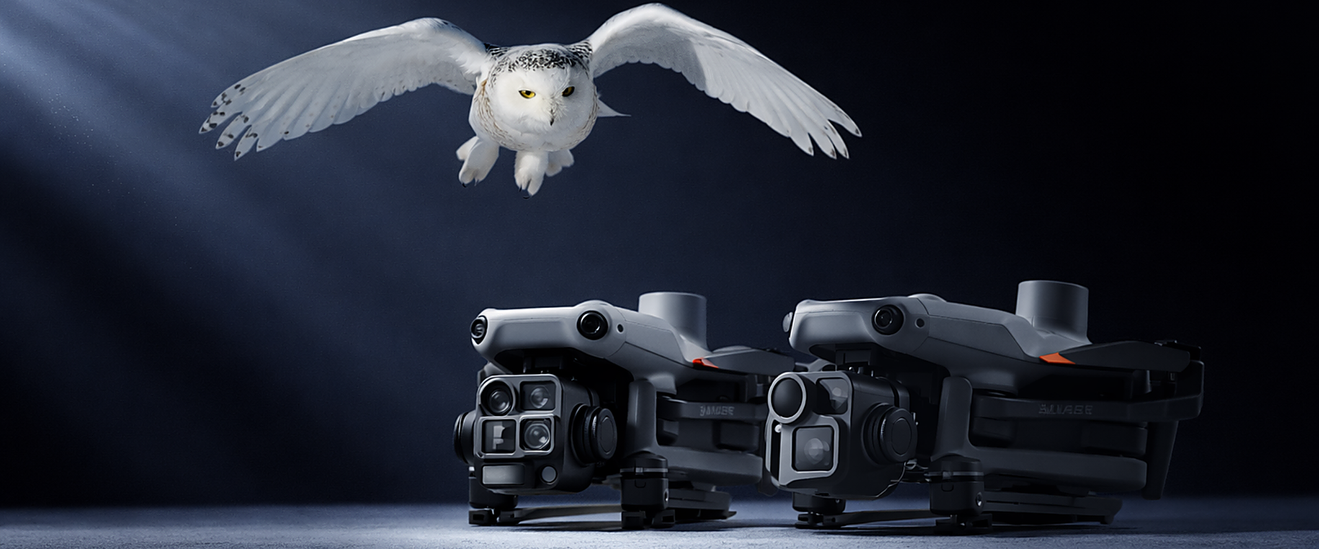 white_owl_1920_ultra_hd_refined-aspect-ratio-1920-800